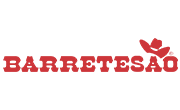 Logo | Barretesão